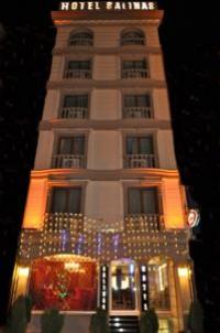 Salinas Istanbul Hotel